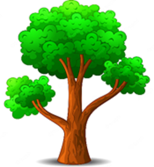 Cómo hacer un árbol genealógico de forma sencilla y original